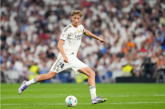 所作出的解 所作出的解