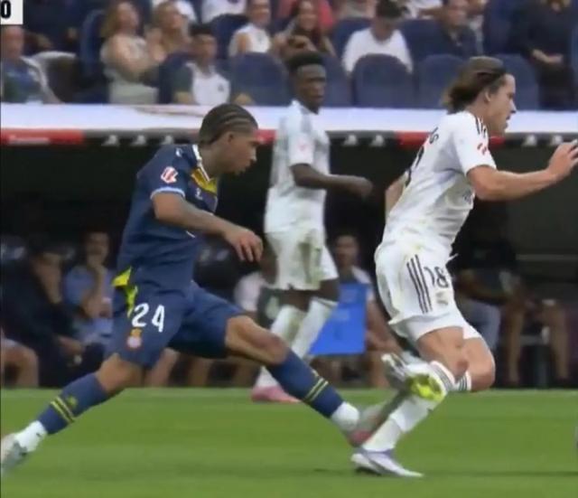 获得, 了鲜明对比 获得, 了鲜明对比